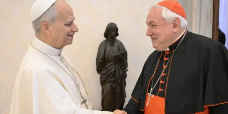 Pope Leo XIV urges French bishops to heal divisions and foster unity with TLM communities