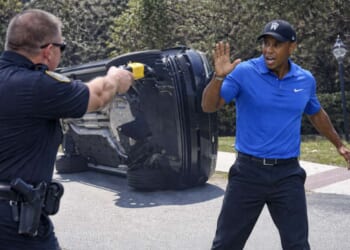 Image for article: Black Half Of Tiger Woods Tased By Cops After Asian Half Crashes Car