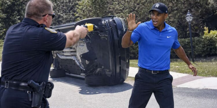 Image for article: Black Half Of Tiger Woods Tased By Cops After Asian Half Crashes Car
