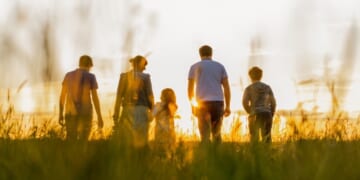 Do the Democrats Have a Vested Interest in Destroying the Family?