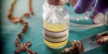 Euthanasia Claims More Humans Than Dogs in Canada