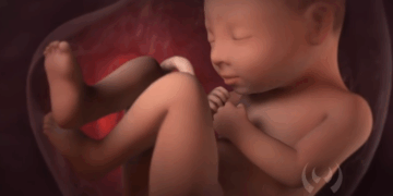 Florida Law Should Recognize Unborn Babies Who are Killed
