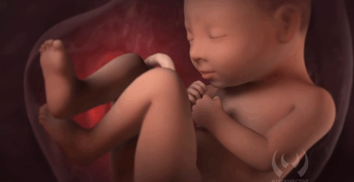 Florida Law Should Recognize Unborn Babies Who are Killed