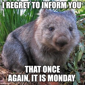 wombat