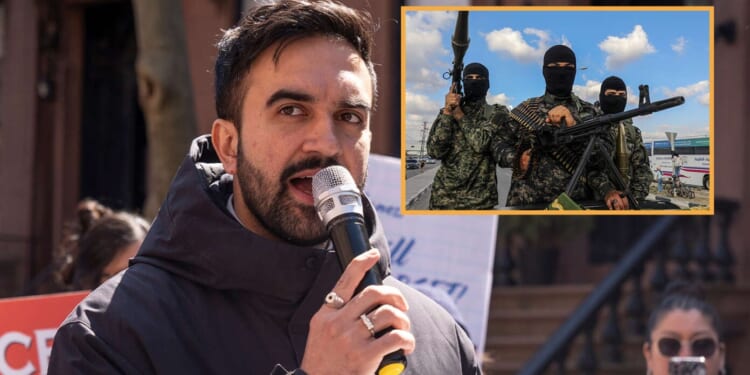 Image for article: Mamdani Clarifies That His Wife Only Celebrates Terrorism In Her Capacity As A Private Citizen