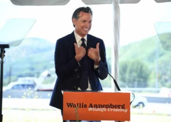 New Report Exposes Rampant Hospice Fraud in Newsom's California [WATCH]