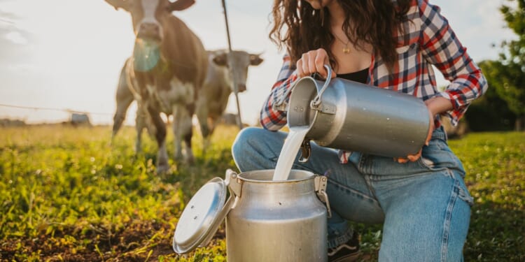 Raw Milk and Food Freedom: Let Farmers Feed Their Neighbors