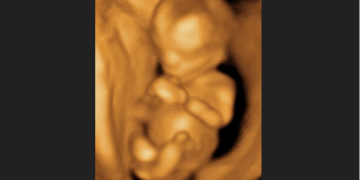 South Dakota Legislature Passes Multiple Pro-Life Bills