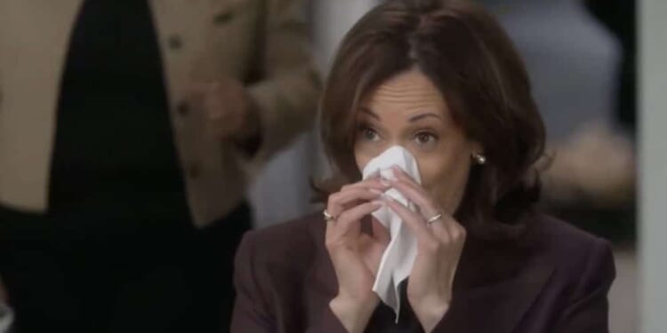 THESE CANDIDATES STINK! Harris, Newsom Bomb in Humiliating New Golden State Poll