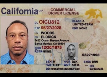Image for article: Tiger Woods Awarded Honorary California CDL