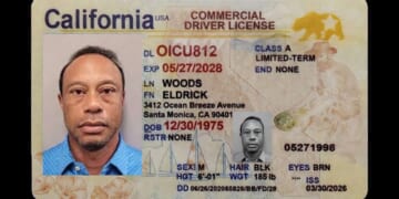 Image for article: Tiger Woods Awarded Honorary California CDL