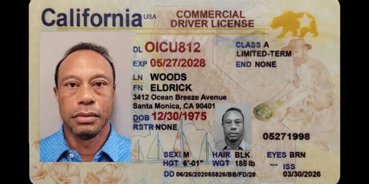 Image for article: Tiger Woods Awarded Honorary California CDL