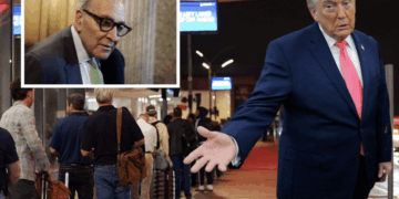 Trump Torches Dems for Airport Chaos, Says 'I May Call Up The National Guard'