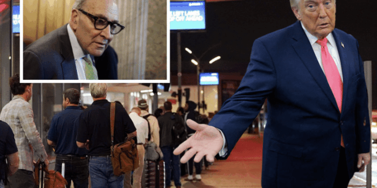 Trump Torches Dems for Airport Chaos, Says 'I May Call Up The National Guard'