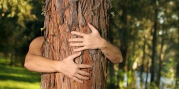 University Pushes Human Rights for Trees While Babies are Killed in Abortions