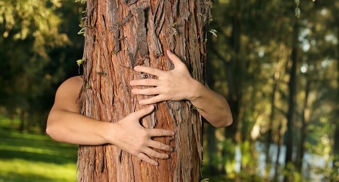 University Pushes Human Rights for Trees While Babies are Killed in Abortions