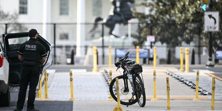 Van Crashes Through Barricade, Driver Detained [WATCH]