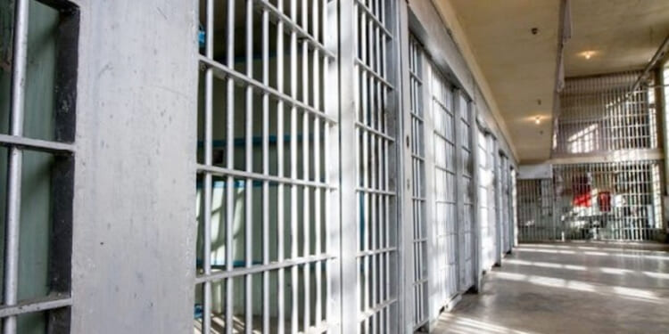 Yes, We Can, Brandon Johnson — Jail Our Way to a Safe Country