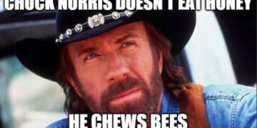 One last Chuck Norris fact...