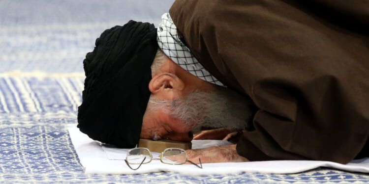 The Politics of Shill - The Catholic Thing