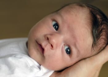 America's Fertility Rates Crash Among Women of All Ages