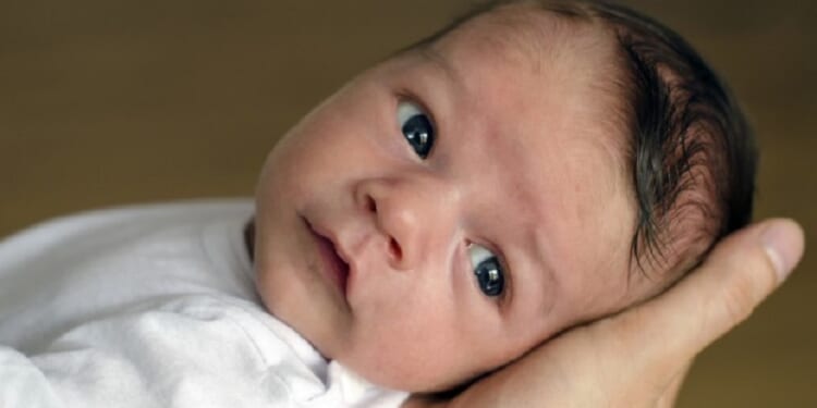 America's Fertility Rates Crash Among Women of All Ages