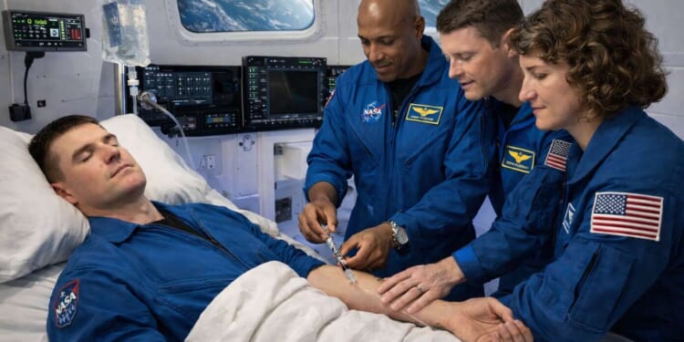 Image for article: Canadian Astronaut Humanely Euthanized After Suffering Light Bruise During Takeoff