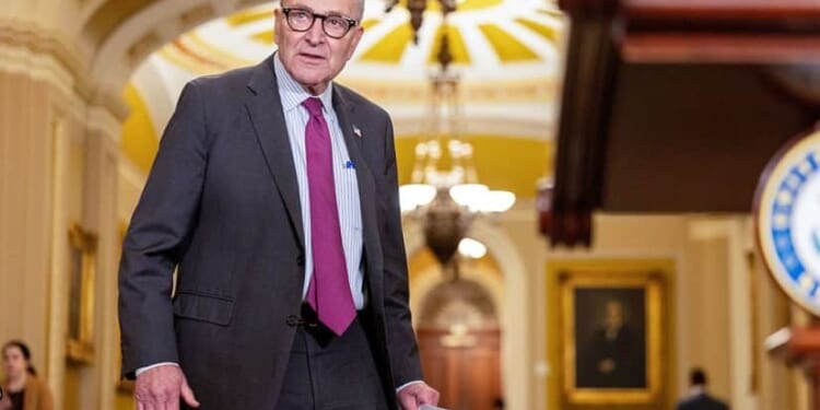 Chuck Schumer Faces Backlash Over Border Patrol, ICE Remark During DHS Funding Debate