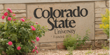 Colorado House Passes Bill Forcing Colleges to Sell Abortion Pill