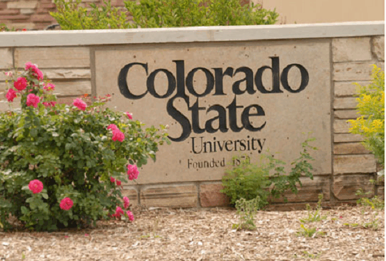 Colorado House Passes Bill Forcing Colleges to Sell Abortion Pill