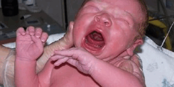 Delaware Wants to Make it Legal to Sell Babies