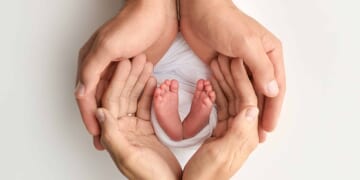 Fertility Decline is Widespread Across Education Levels