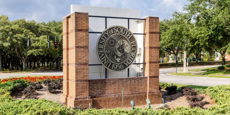 Florida Expands Criminal Investigation into ChatGPT