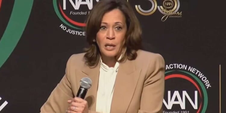 Image for article: Kamala Harris 'Thinking About' Losing Again In 2028