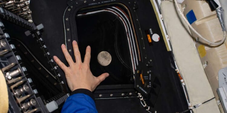 Image for article: 'Look Out!' Shouts Female Astronaut As Orion Gets Within 5,000 Miles Of Moon