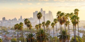 Lost Angeles? Poll Finds 48% of Angelenos Want Socialist Mayor