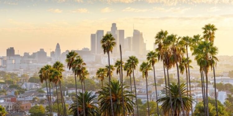 Lost Angeles? Poll Finds 48% of Angelenos Want Socialist Mayor