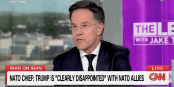 NATO chief Mark Rutte says world ‘safer’ under Trump after Iran strikes