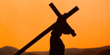 The Consolation of the Cross – Religion & Liberty Online