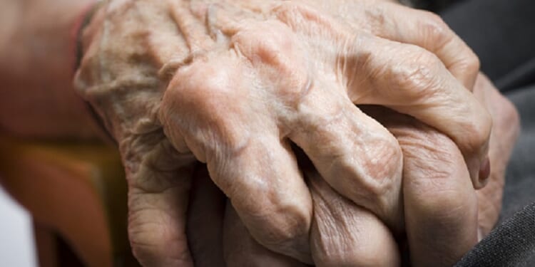 They Want to Stop Euthanizing Animals, But They’re Fine With Euthanizing People