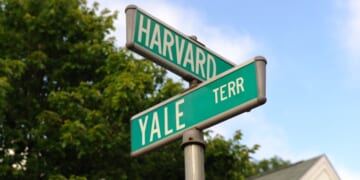 Trump Lets Rich Universities Rob Taxpayers; Billions Go to Schools With Billions in Endowments