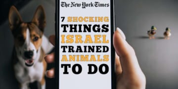 Image for article: The NYTimes Reveals: 7 More Shocking Things Israel Has Trained Animals To Do