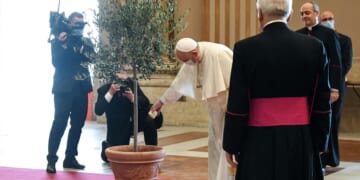 The Catholic Church Is Focusing on the Wrong Crisis