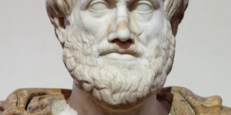 We Need Centers of Human Fructification