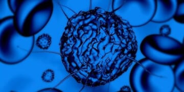 Adult Stem Cell Research Bill Passes Out of Congressional Committee