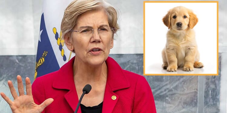 Image for article: Elizabeth Warren Vows New Tax On Puppies