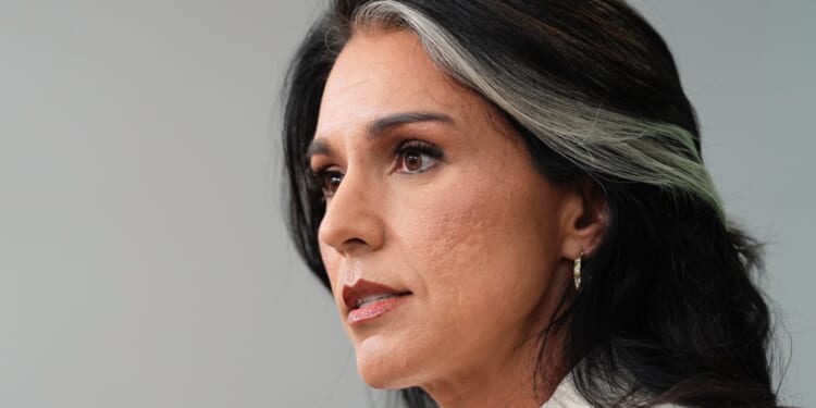 Gabbard Quits DNI Post to Care for Husband With Bone Cancer