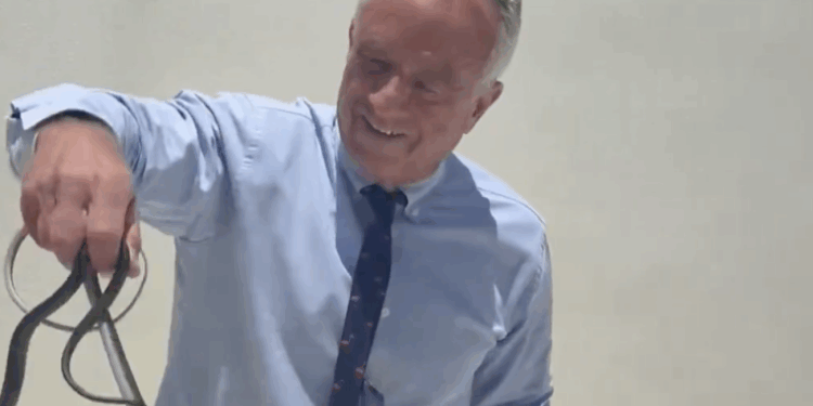 HHS Secretary Goes Viral After Catching Snakes on Dr. Oz's Patio [WATCH]