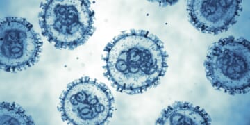 Hantavirus: Is the Next Pandemic Upon Us?