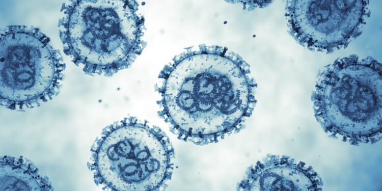 Hantavirus: Is the Next Pandemic Upon Us?